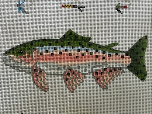 Rainbow trout fish - rainbow,