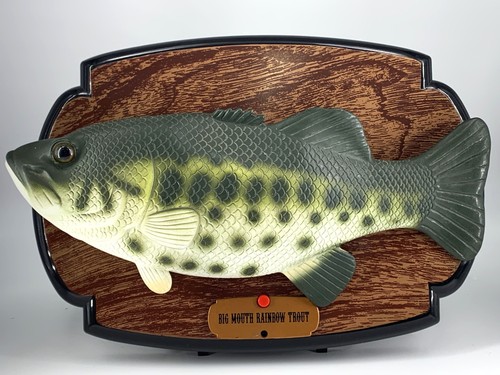 Big mouth rainbow trout - big,