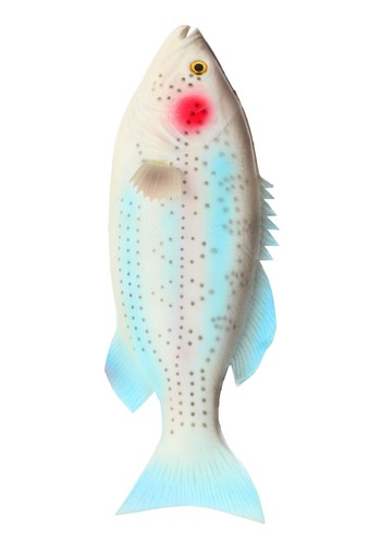 Rainbow trout rubber fish - rubber, prop